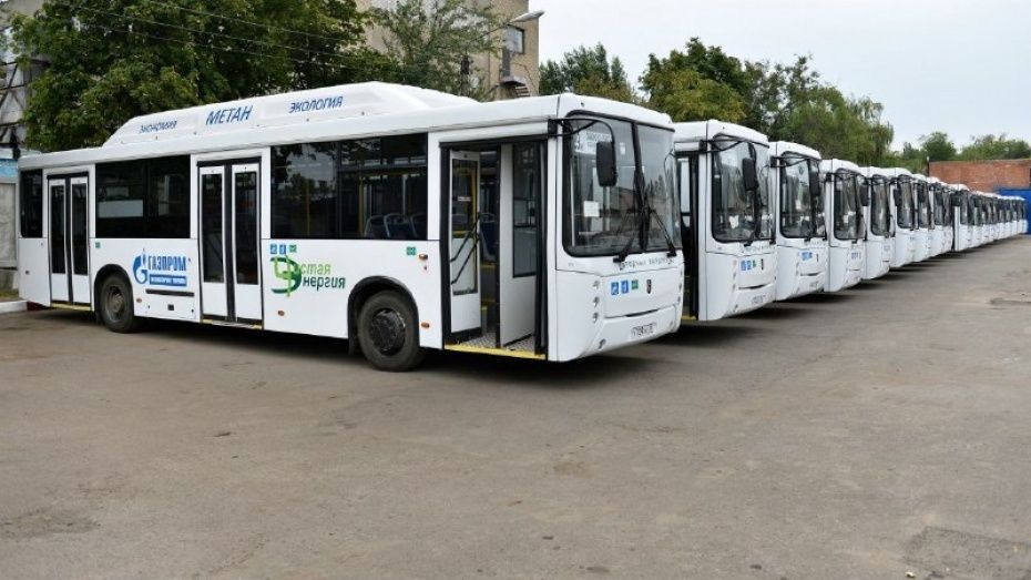 Воронежская область вошла в топ-10 в РФ по числу интернет-запросов автобусных маршрутов 