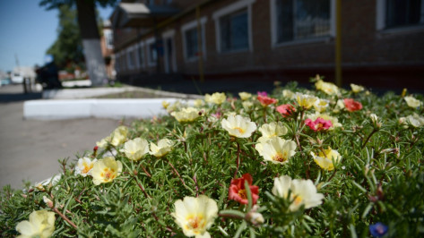 Воронежцы выбрали приоритетный объект для благоустройства в 2018 году