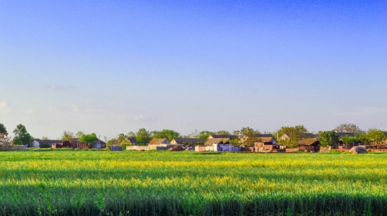 Воронежская область стала 3-й в РФ по объему привлеченных федеральных средств в госпрограмму по развитию сел