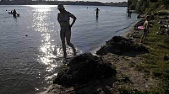 Мэрия Воронежа разрешила горожанам купаться в пяти местах