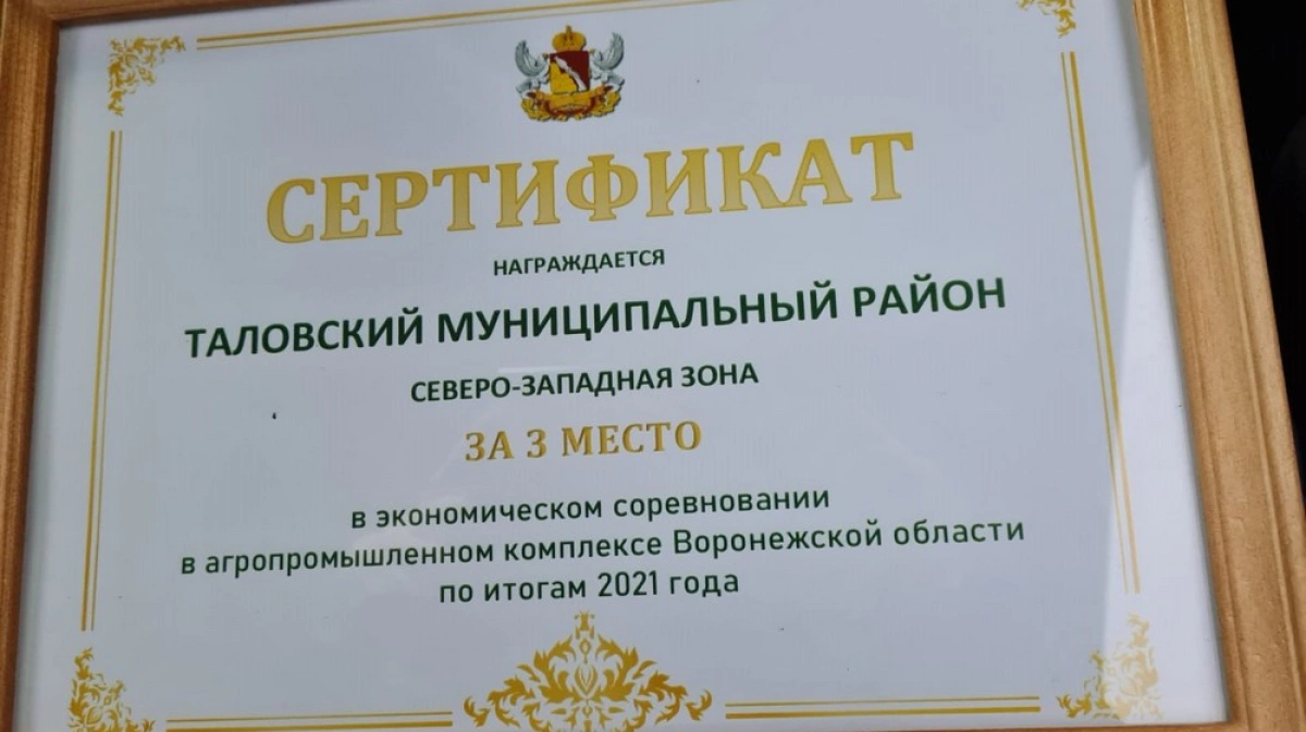 Сайт администрации таловского муниципального