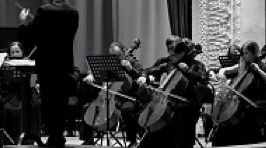 Симфонический оркестр Воронежской академии искусств даст бесплатный концерт для горожан