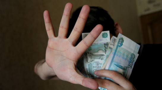 Воронежская пенсионерка помогла задержать 21-летнего серийного мошенника