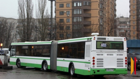 Стало известно, когда в Воронеже появятся автобусы-гармошки