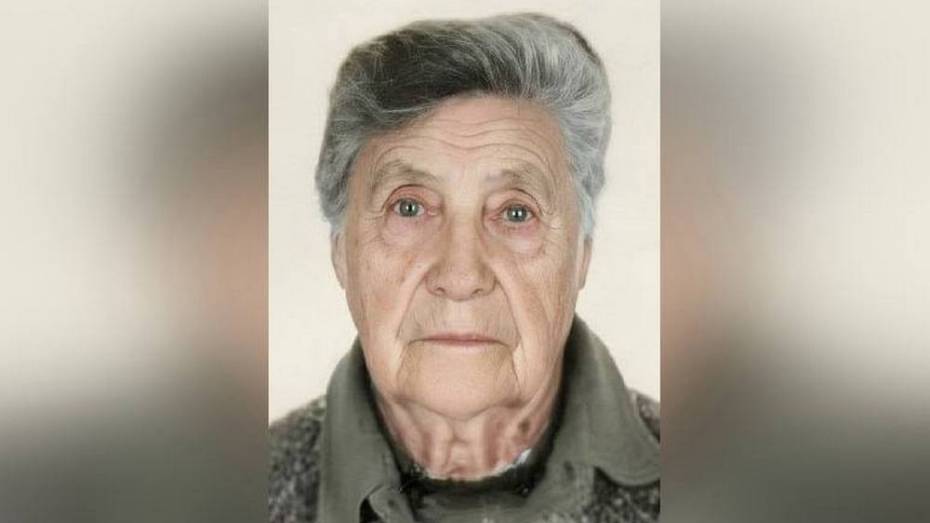 Воронежские волонтеры объявили поиски 87-летней женщины