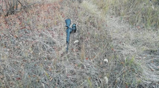 Воронежского бизнесмена, застрелившего своего водителя, наказали годом исправительных работ