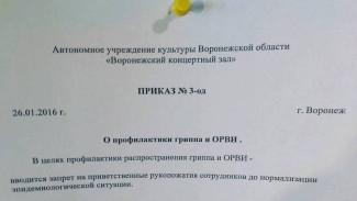 В Воронежском концертном зале из-за гриппа запретили рукопожатия