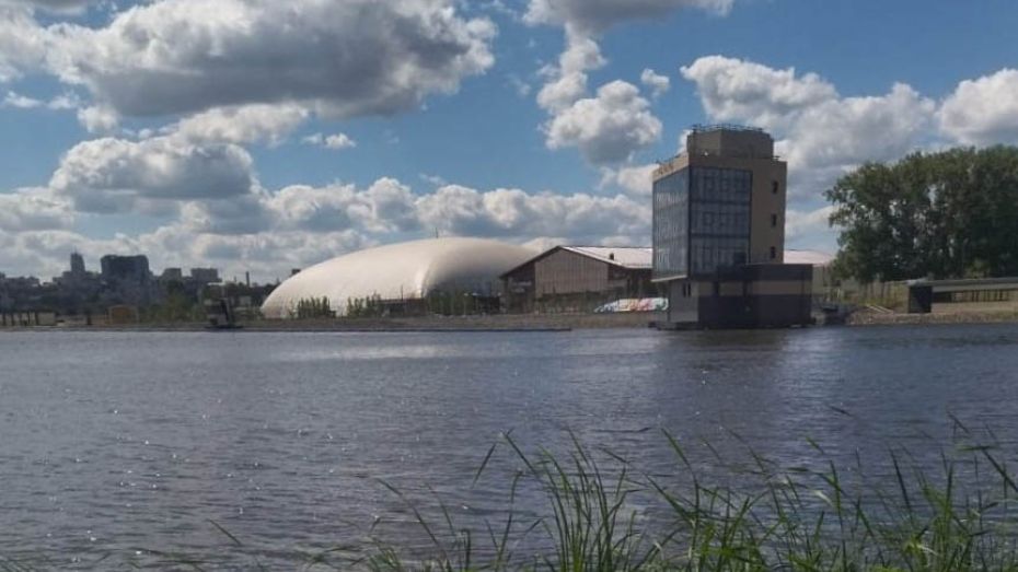 Экологи опровергли массовую гибель рыбы в Воронежском водохранилище