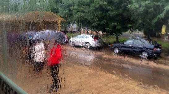 Дожди останутся в Воронеже до конца рабочей недели