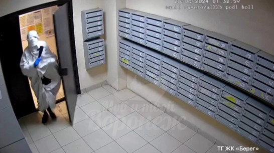 «Барабашка», разбивающий молотком камеры видеонаблюдения в воронежском ЖК, попал на видео