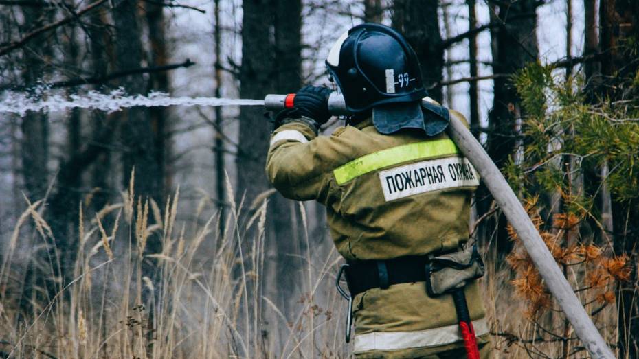 В Воронежской области зафиксировали 6 ландшафтных пожаров