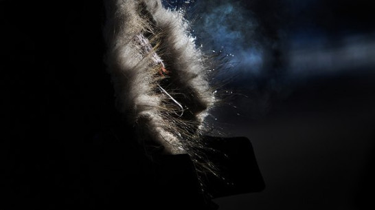 Первая неделя зимы пройдет в Воронеже без снега