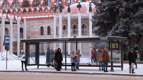 Мэрия Воронежа связала проблемы транспорта со сбоями навигационных систем и пробками