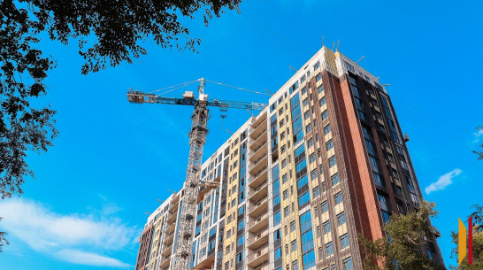 Бастрыкин поручил возбудить уголовное дело после жалобы обманутой дольщицы из Воронежа