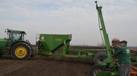 Нижнедевицкие аграрии приступили к весеннему севу