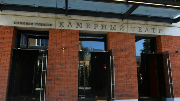 Худрук Воронежского Камерного театра попросил президента о помощи из-за пандемии
