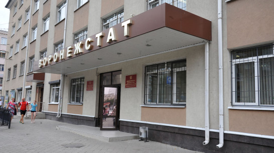 Средняя зарплата в Воронежской области составила 30,6 тыс рублей