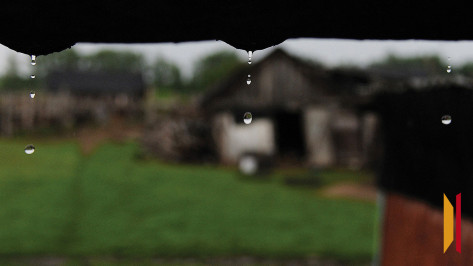 Дожди и грозы ждут воронежцев на выходных