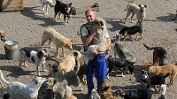 Воронежский зоозащитник и его слепой щенок пройдут 500 км ради бездомных собак