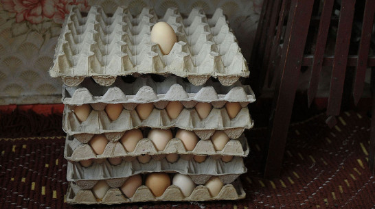 Воронежцам объяснили, почему резко выросли цены на яйца