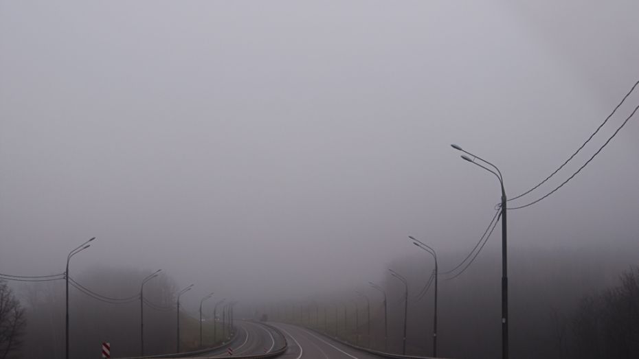 В новогоднюю ночь в Воронеже ожидается туман, гололед и моросящий дождь