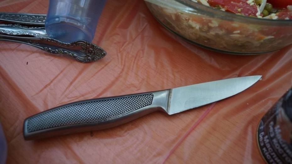 В кантемировском селе Митрофановка пьяный отец ударил 16-летнего сына ножом в спину