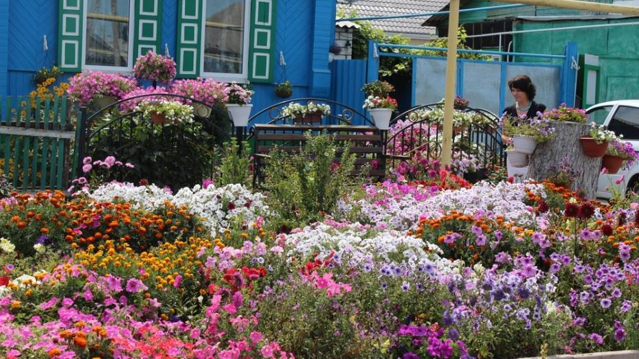 Цветовод-коллекционер из Таловой посадила на своем участке 80 видов цветов