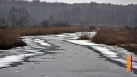 В Воронежской области в реке Усманка утонул 9-летний ребенок