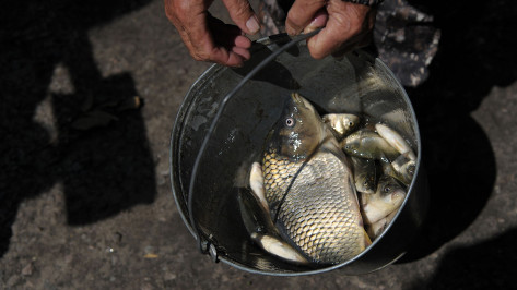 Воронежца оштрафовали на 300 тыс рублей за ловлю рыбы в водохранилище