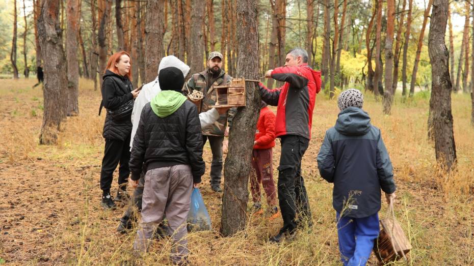В воронежском парке «Танаис» появились 15 кормушек для белок