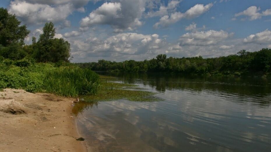 В реке Хопер в Воронежской области утонул 19-летний волгоградец