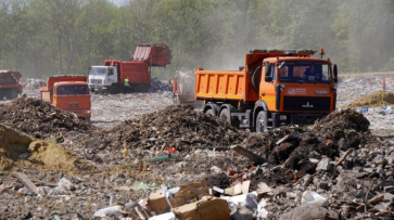 В Воронежской области запланировали снизить тариф на вывоз мусора