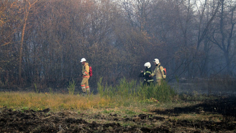 Воронежцев оштрафовали на 2 млн рублей за нарушения пожароопасного режима