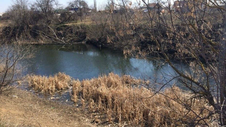 В Воронежской области русло реки Икорец расчистят до 2023 года
