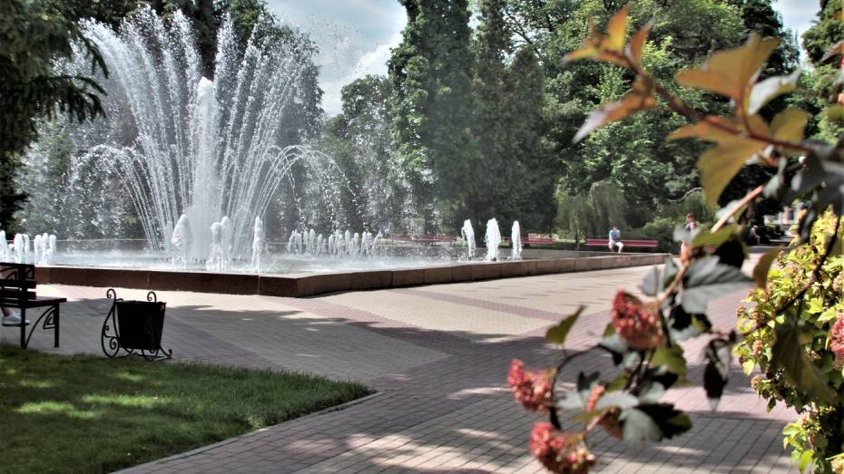 В Воронеже запретят парковку в районе Кольцовского сквера