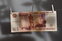 Центробанк обнаружил в Воронежской области 2 финансовые пирамиды