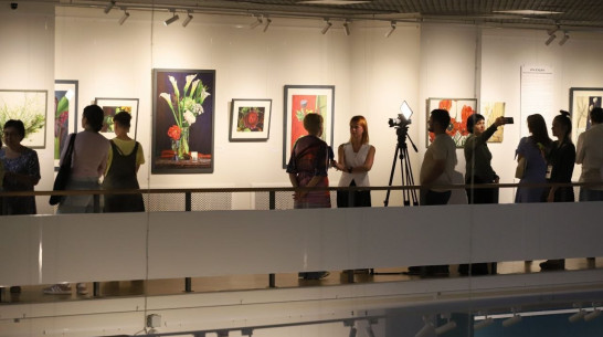 Губернатор Александр Гусев поручил составить реестр частных музеев Воронежской области