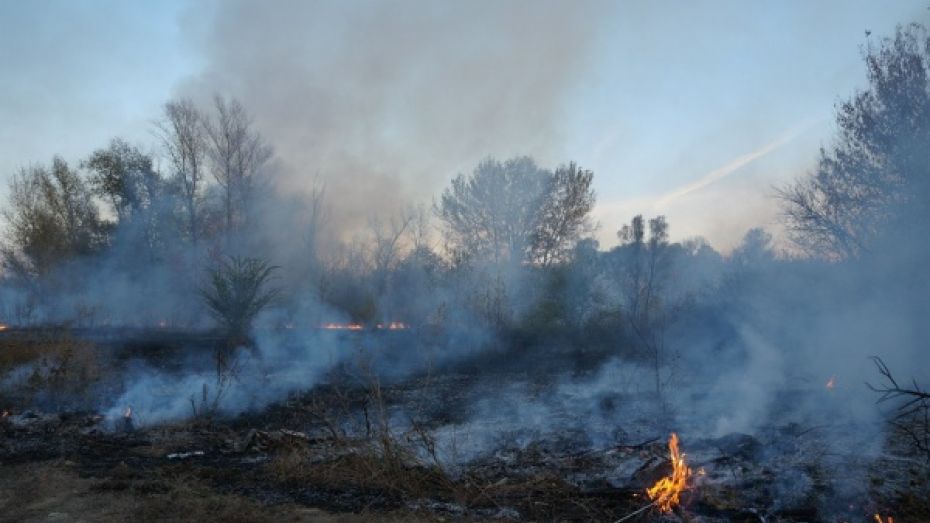 Воронежцы пожаловались на дым в районе завода «Видеофон»