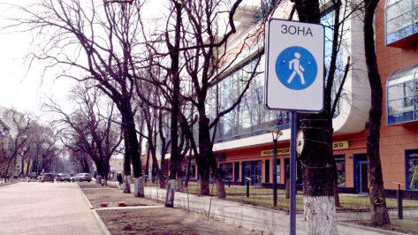 Первая в Воронеже пешеходная зона появилась на улице Карла Маркса