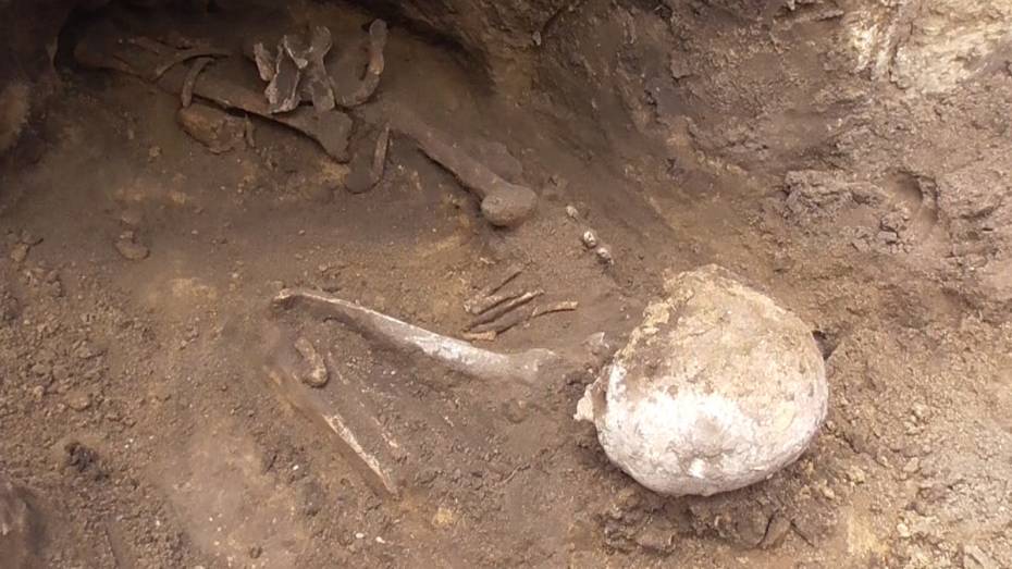 Житель Воронежской области откопал останки древнего человека у себя во дворе