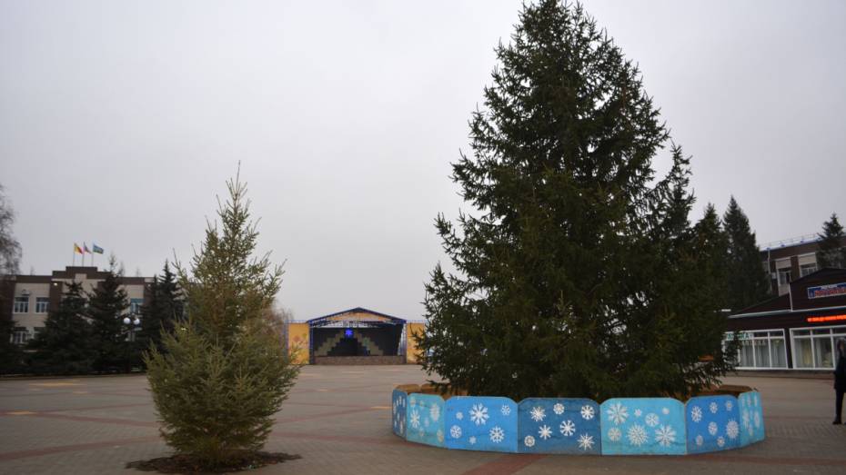 Жители воробьевского села Рудня подарили землякам 10-метровую елку
