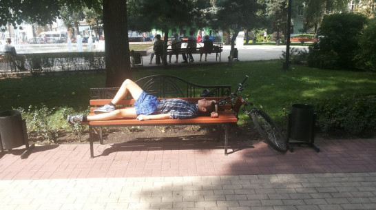 Гидрометцентр России назвал 2014 год аномально теплым