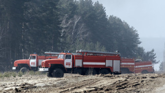 Воронежский лесопожарный центр перевели в режим повышенной готовности
