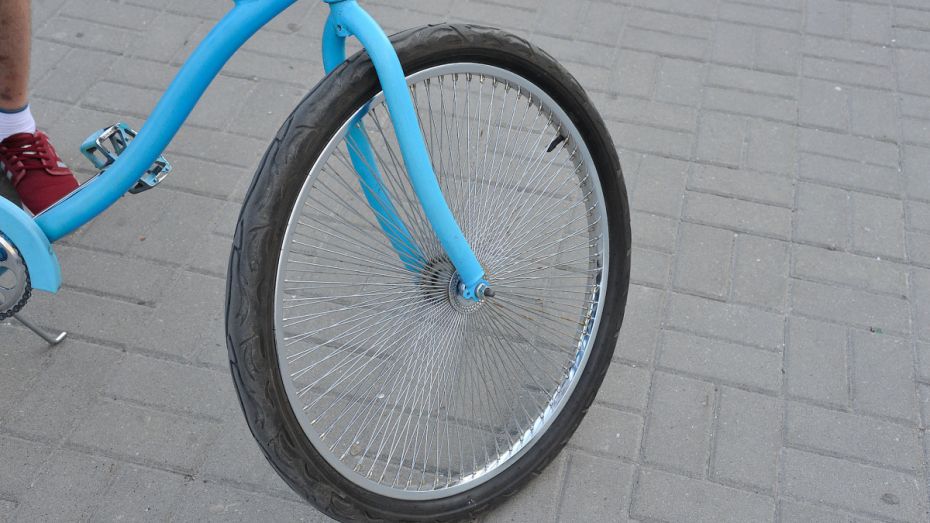 Мальчик на велосипеде попал под колеса иномарки в Воронежской области