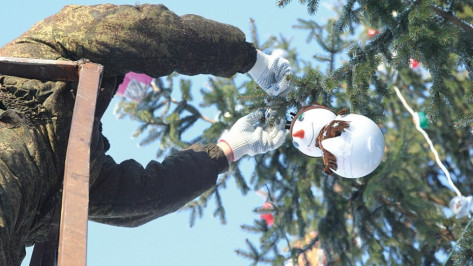 Воронежцев позвали охранять елки с 28 по 31 декабря