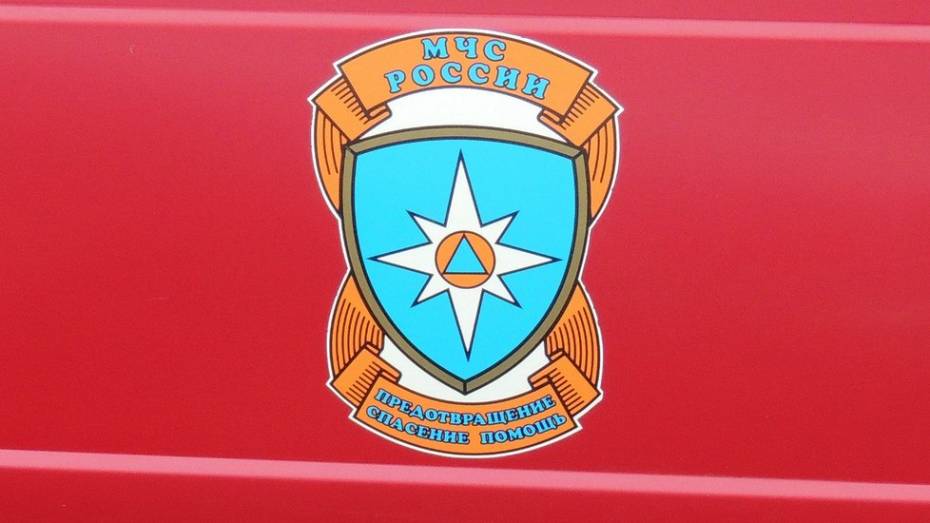 Спасатели Крыма поучатся у воронежских коллег