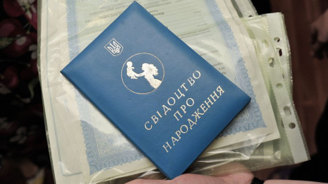 «Народные республики» заплатят пособия украинским переселенцам в Воронежской области