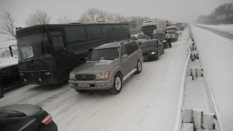 Воронежские полицейские помогли пассажирам сломавшегося междугороднего автобуса 