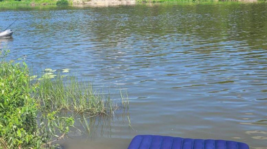 В Воронежской области на реке Дон утонул 12-летний мальчик