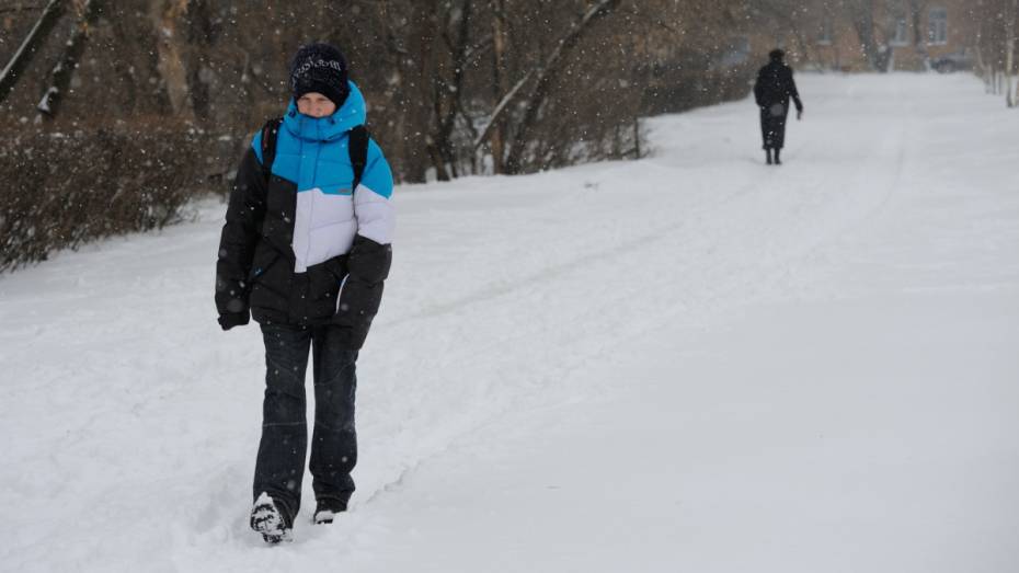 Первые выходные декабря в Воронеже будут морозными и снежными